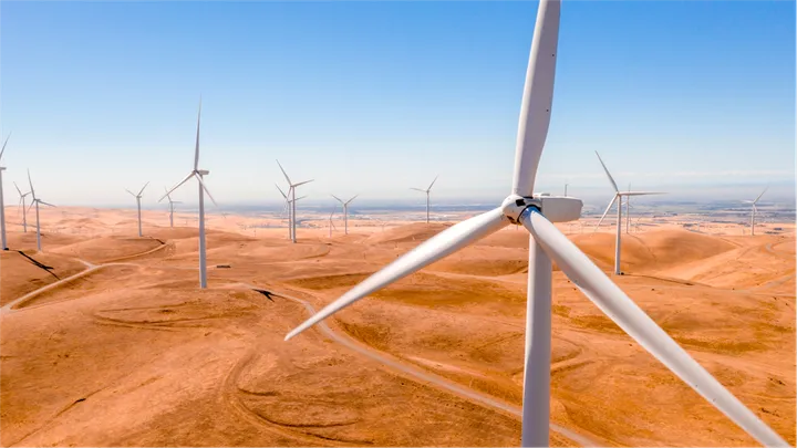 The World’s Largest Wind Farm has a Tiny Problem